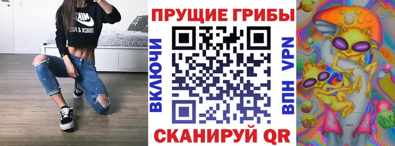 наркошоп  Шарыпово  Псилоцибиновые грибы Cubensis 