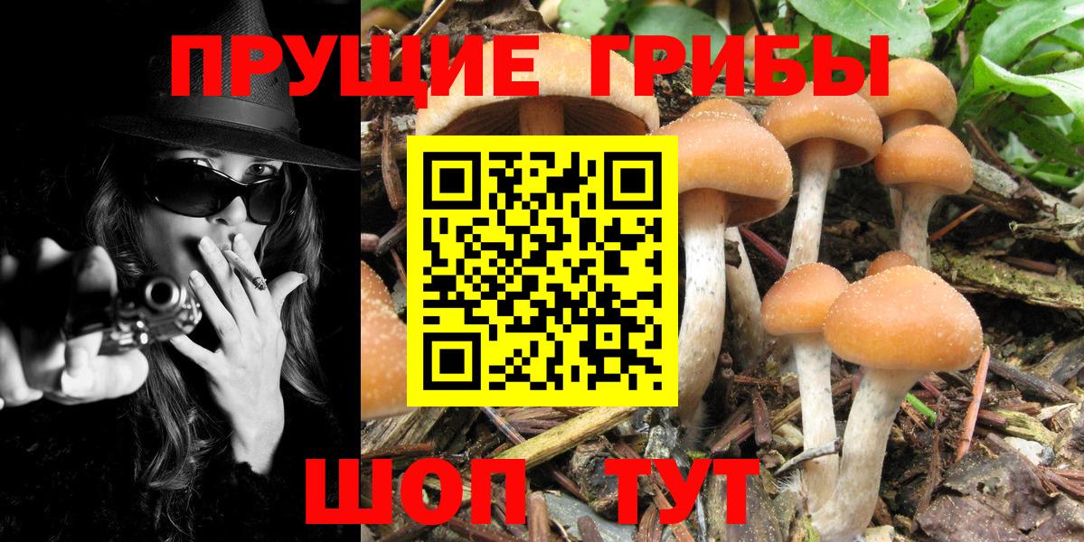 Галлюциногенные грибы MAGIC MUSHROOMS Шарыпово
