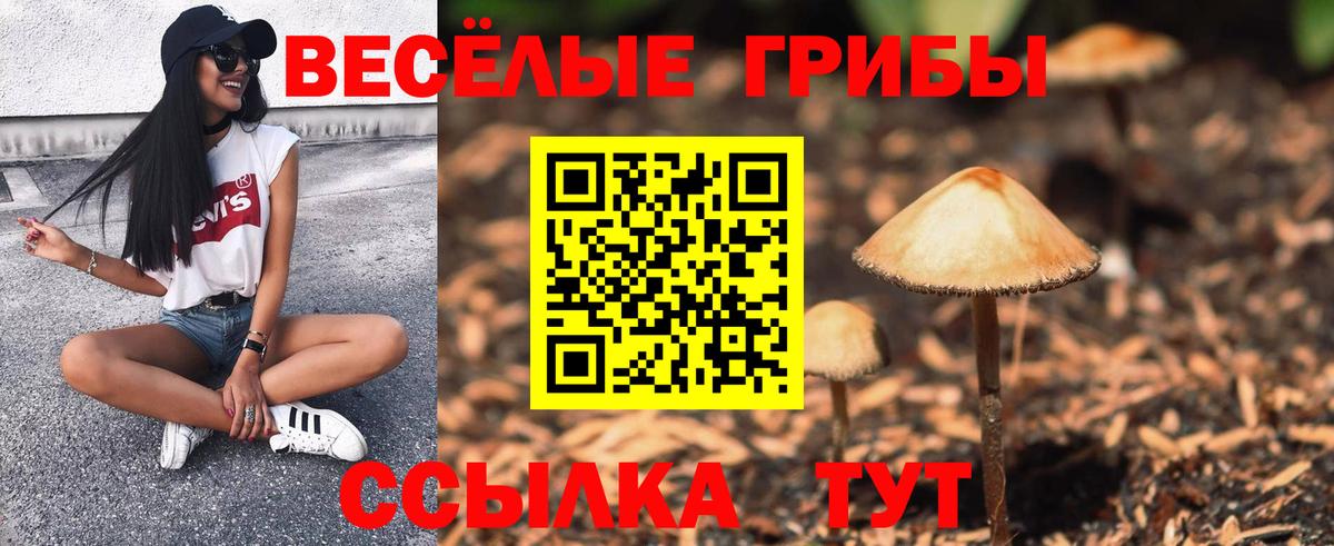 Галлюциногенные грибы GOLDEN TEACHER  Вход с VPN  Шарыпово 